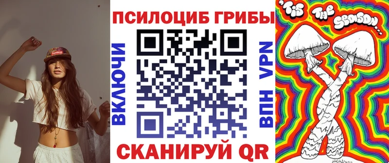 Галлюциногенные грибы Psilocybe  Купить где  Волжск 